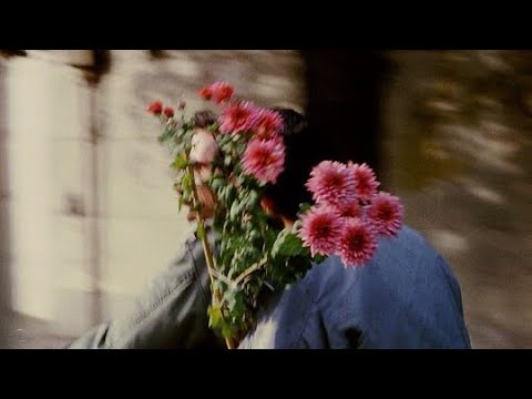 videoclub-amour plastique (speed
