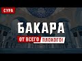 СУРА БАКАРА - защита от всего плохого вас и вашего дома, читайте и слушайте каждый день.