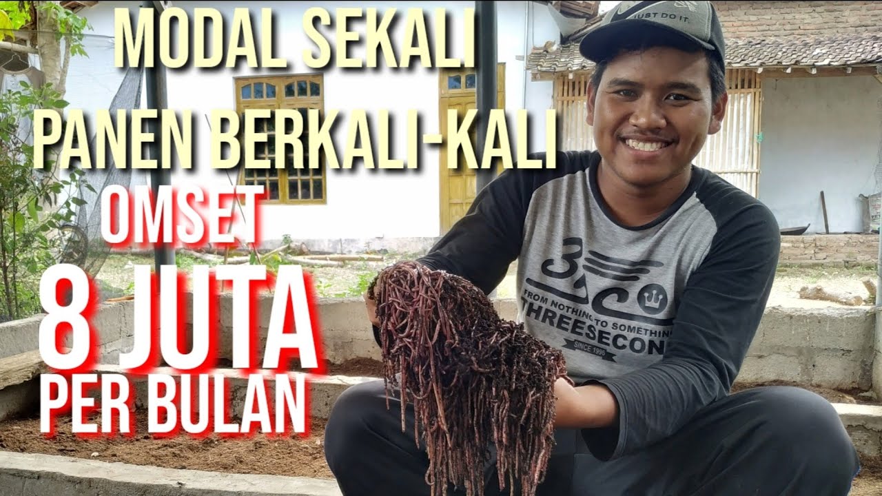 Ternak Cacing || Menjijikan namun Menjanjikan. Part I 