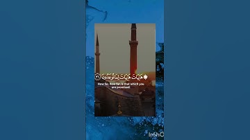 اكتب شيء  تؤجر عليه😴💚/الشيخ ياسر الدوسري|قرآن كريم