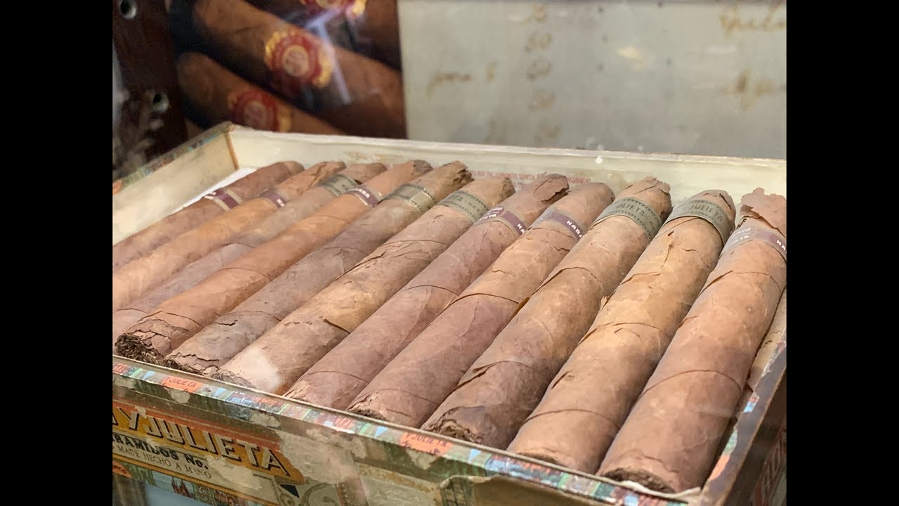葉巻生活 不味い葉巻の吸い方 美味しくない葉巻のマシな吸い方 西麻布 ハバナベガス 竹中光毅 キューバシガー 専門 Youtube 葉巻生活 不味い葉巻の吸い方 美味しくない葉巻のマシな吸い方 西麻布 ハバナベガス 竹中光毅 キューバシガー 専門 Youtube