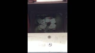 Shredding event