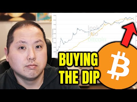 BITCOIN HOLDERS ARE BUYING THE DIP!!!