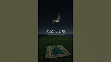 سورة الروم من القارئ ياسر الدوسري 🤍 #quran #اكسبلور #المصحف #قران_كريم