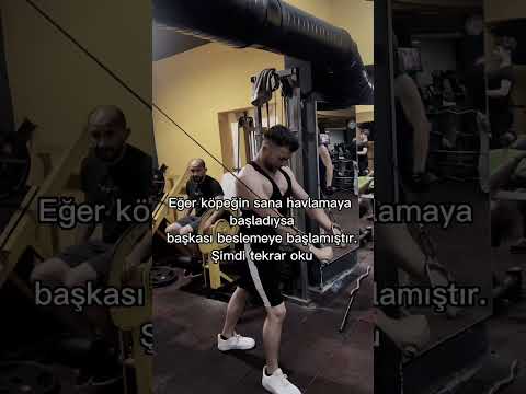 Bu video hiç bir köpekle ilgili değildir #gym #gymlife #gymmotivation #shorts #motivation #fitness