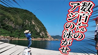 堤防からとことんアジを泳がせてみた結果！竿限界の凄いのが釣れた
