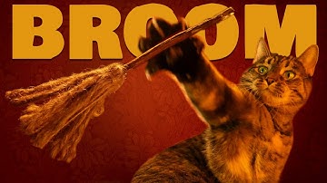 One Cat One Toy One Minute Review: Matatabi Broom by Trixie