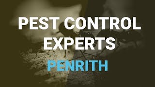 Pest Control Supplies Penrith | CALL US ON 0488 839 036