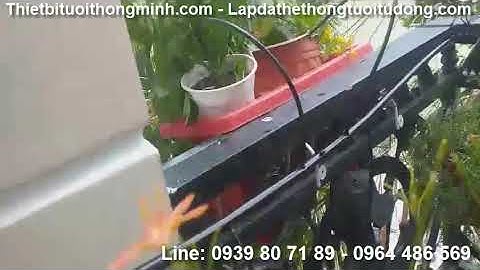 Lắp đặt hệ thống tưới phun sương chậu hoa treo, nhỏ giọt 8 tia cây cảnh, ăn trái tự động sân thượng
