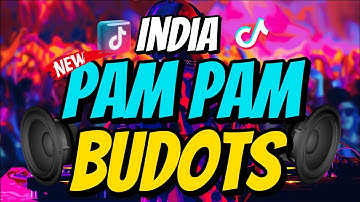 PAM PAM - INDIA ( BUDOTS REMIX ) - DJ MONSOY