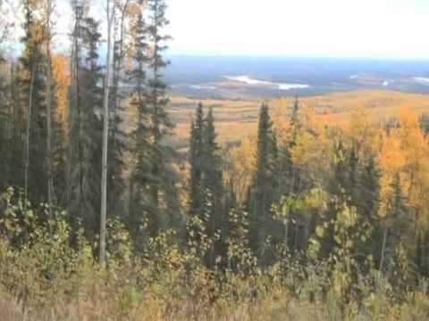 Semester at Star Lake video #9: Alaska pt. 5 - Denali to Chicken