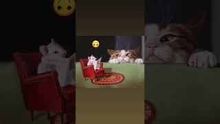 #funnyvideo 🤭🙃#catshorts #tomandjerry #hellokitty #tom #catlover
