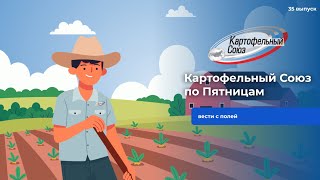 картинка: Картофельный Союз по Пятницам. 35 выпуск