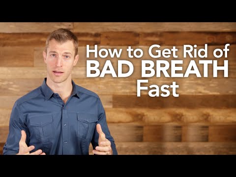 How To Get Rid Of Bad Dog Breath Fast How To Get Rid Of Bad Dog Breath Fast