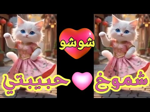 اغنية باسم شموخ الحلوة شوڜو شموخ السعودية الكويت الامارات تركيا العراق قطر مسقط البحرين الجزائر جده