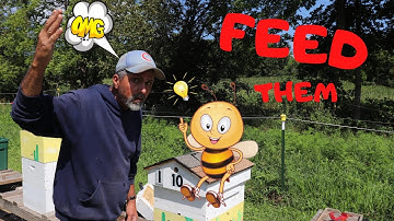 Moving Another Five Frame Nuc Into A Ten Frame Deep  Box (Aug 2020 )