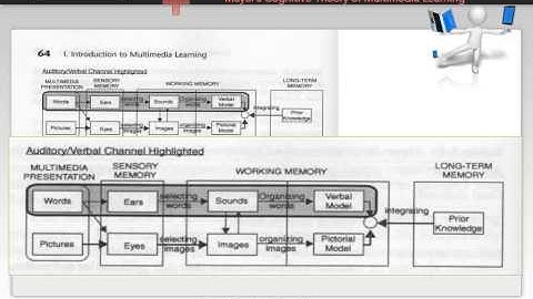 Graphic from Richard Mayer
