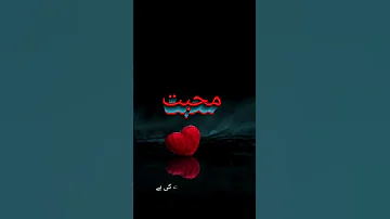 ا ردو شاعری تیرے نام سے محبت کی ہے 