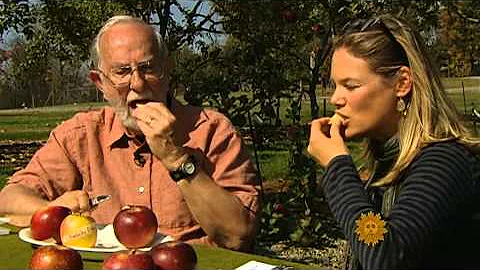 Resurrecting the lost apples