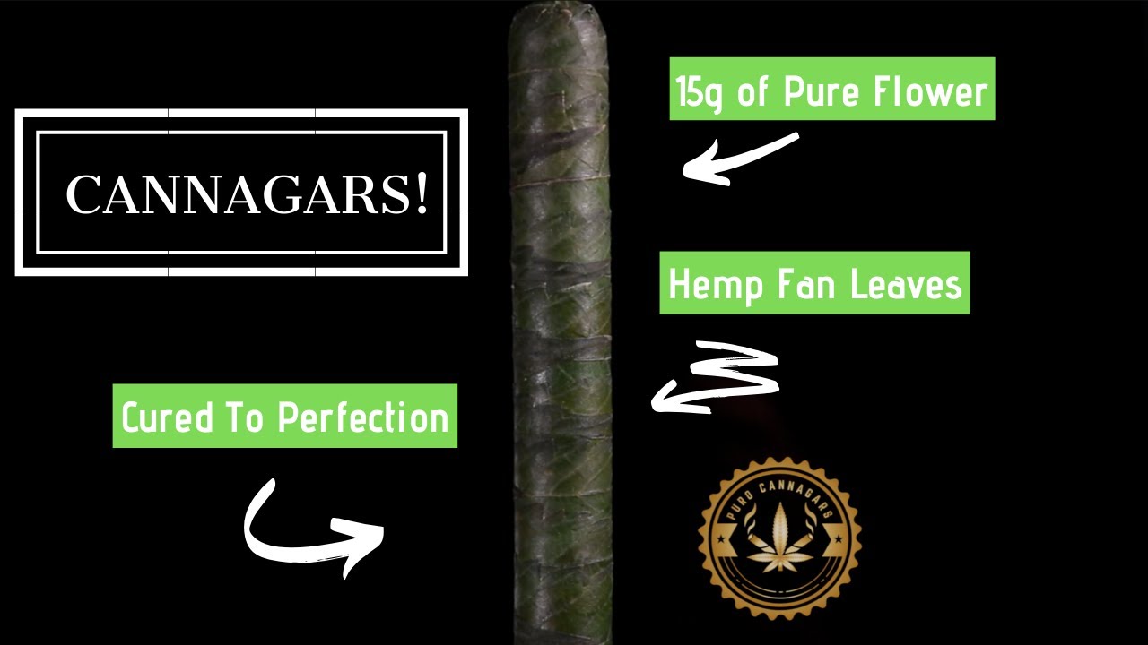 PURO Cannagars Macro Product Shot
