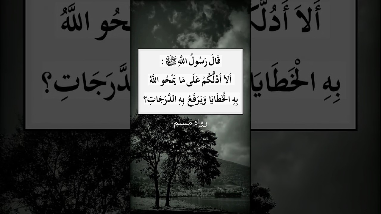 ألا أدُلُّكُم على ما يَمحو اللهُ به الخَطايا، ويَرفَعُ به الدَّرَجاتِ؟