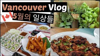 KOR] Living in Vancouver, May vlog