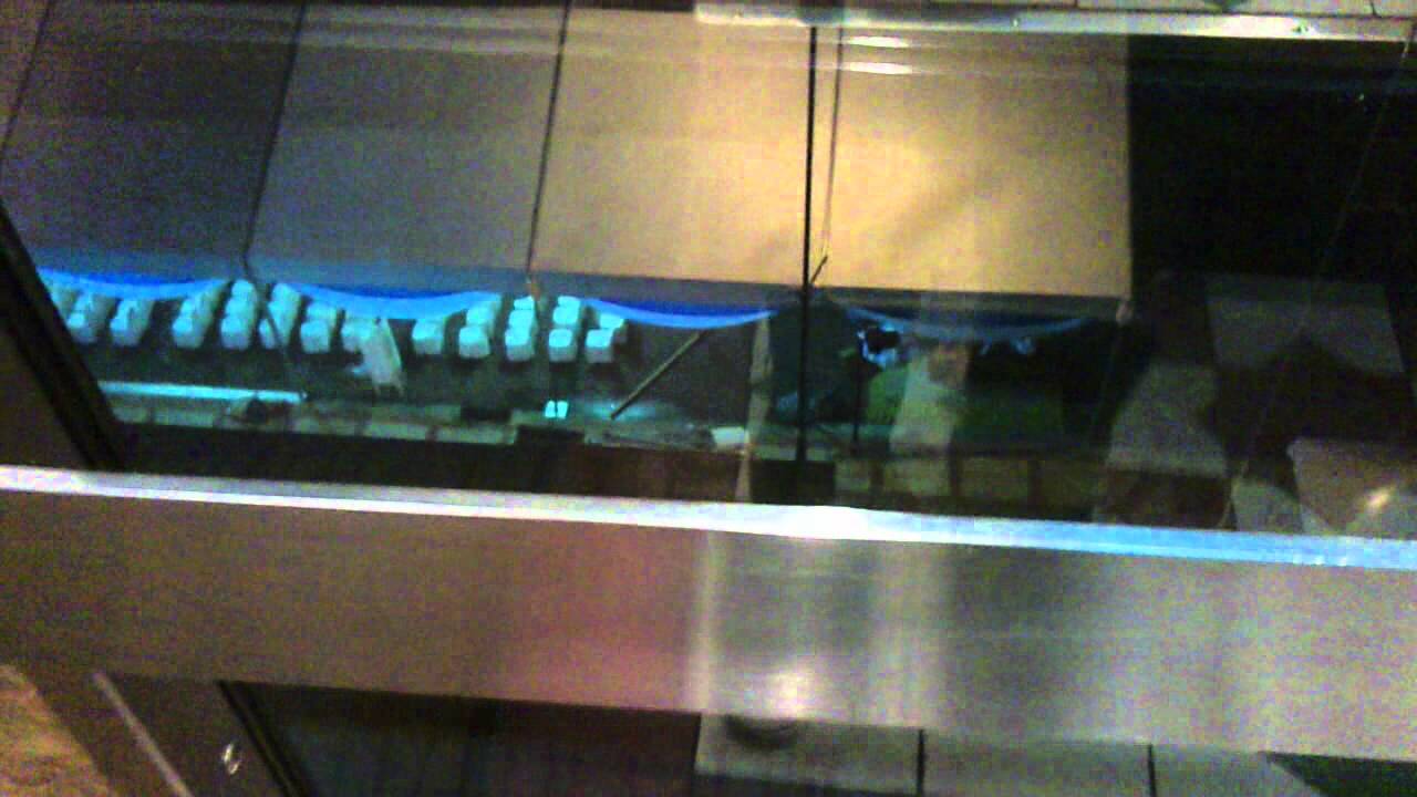 My FIRST Elevator, Hitachi Scenic Elevator at One Utama, Petaling Jaya