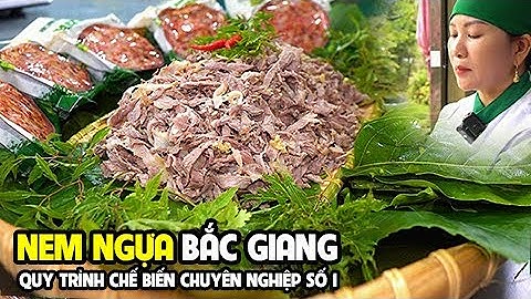 NEM NGỰA | Hé Lộ Bí Quyết Sản Xuất Chuyên Nghiệp Số 1 Bắc Giang