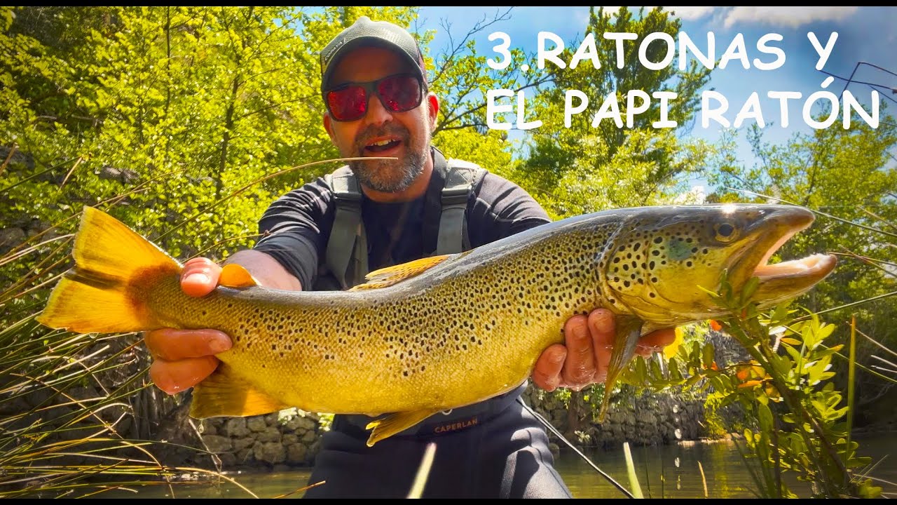 3 . RATONAS Y EL PAPI RATรN - YouTube