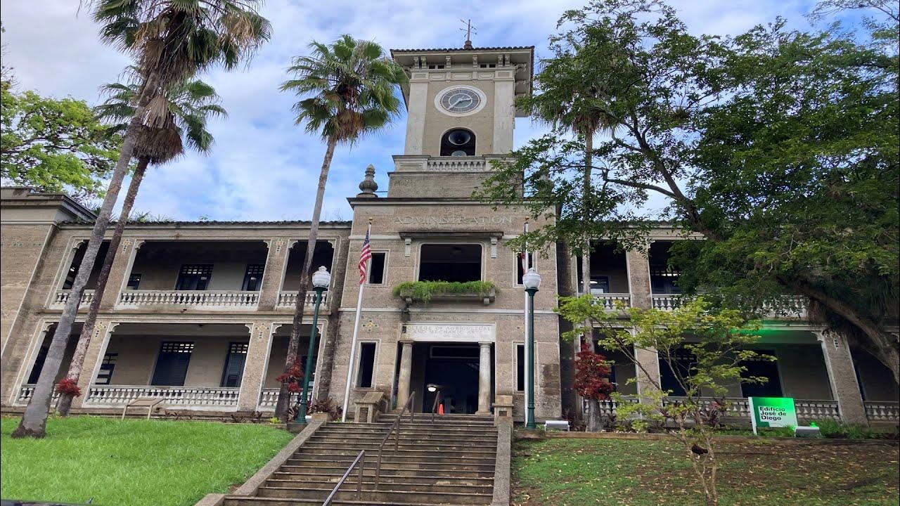 Paseo Por El Campus De La Universidad De Puerto Rico Mayaguez YouTube paseo-por-el-campus-de-la-universidad-de-puerto-rico-mayaguez-youtube