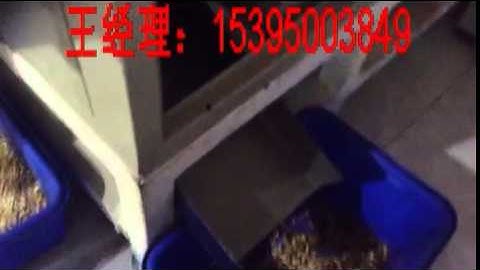 Cashew sorter machine  Video from Vietnam