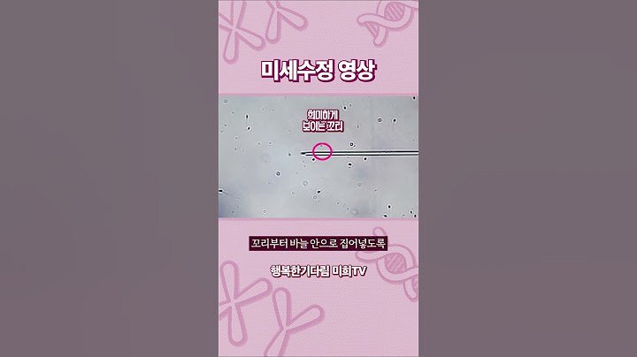 [실제] 정자를 난자 안에 찔러 넣는 신박한 방법! 시험관아기시술 미세 수정｜광주미래와희망 난임 클리닉 제공