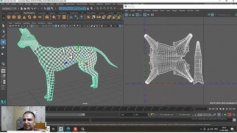 Maya Tutorials, Learn Unwrapping an Animal Model from Scratch in Maya ( Part 2)