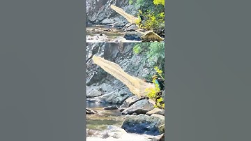 Chài Cá Trên Suối Đá Giữa Rừng – Casting a Net on a Rocky Stream in the Jungle – Wild Experience