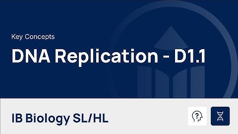 DNA Replication [IB Biology SL/HL]