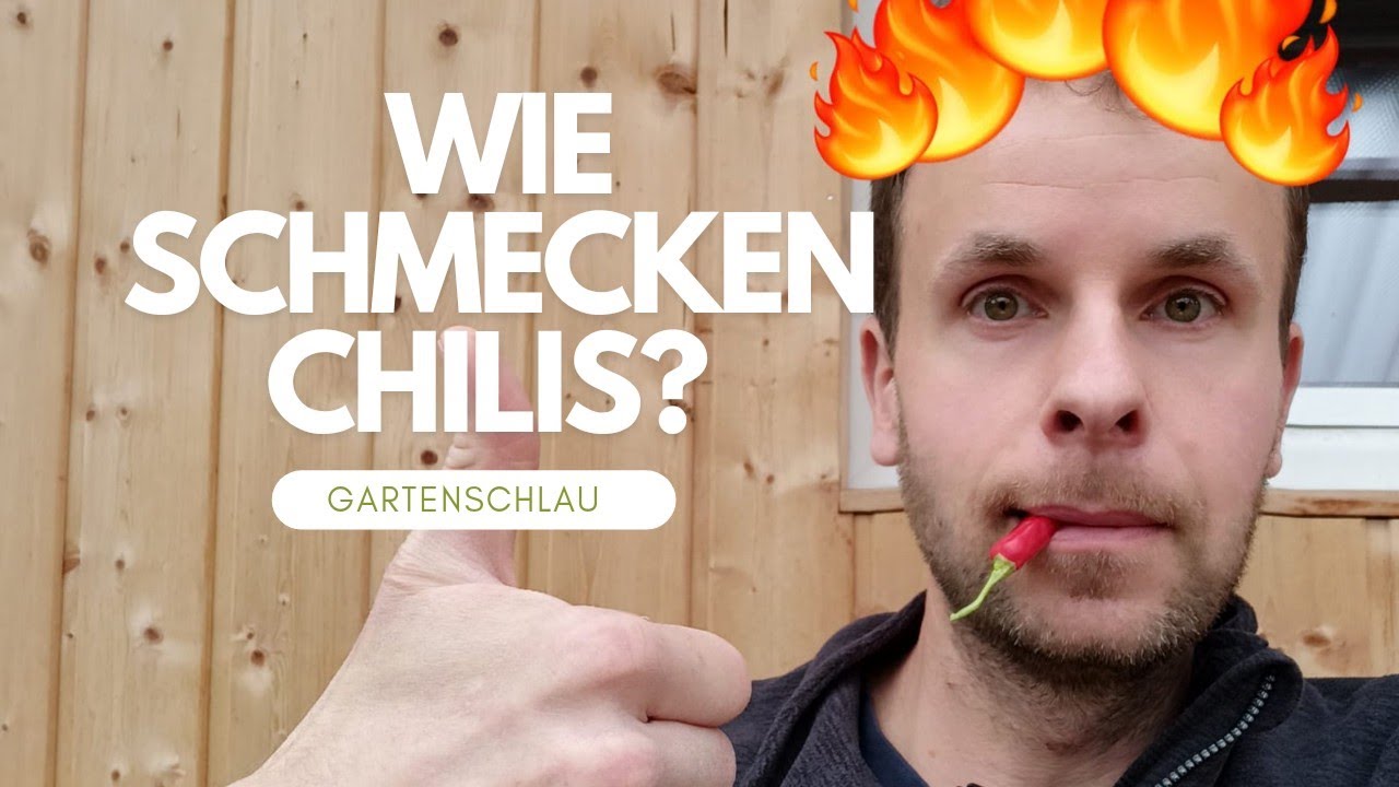 Diese Chili ist ein Muss: Verkostung mit überraschendem Sieger