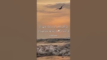 سورة الاحزاب من  آية 56 إلى آية 58 بصوت الشيخ ياسر الدوسري♥♥
