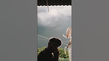 Good Bye 2023...😓 #2023 #goodbye #goodbye2023 #2024 #welcome2024 #shorts #recap