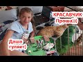 VLOG Дашу не загнать домой , Я в него влюбилась