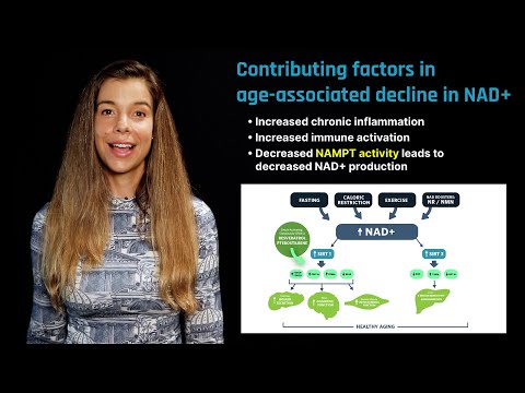 Video: Induktion Af Nicotinamid Ribosid Kinase NAD + Redningsvej I En Model Af Sarkoplasmatisk Retikulum Dysfunktion