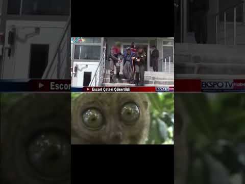 Ürkütücü bi yokluk