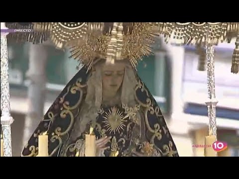 Hermandad y Cofradía de Nazarenos del Santísimo Cristo de las Almas, María Santísima de Gracia y Amparo, María Inmaculada y San Francisco Javier