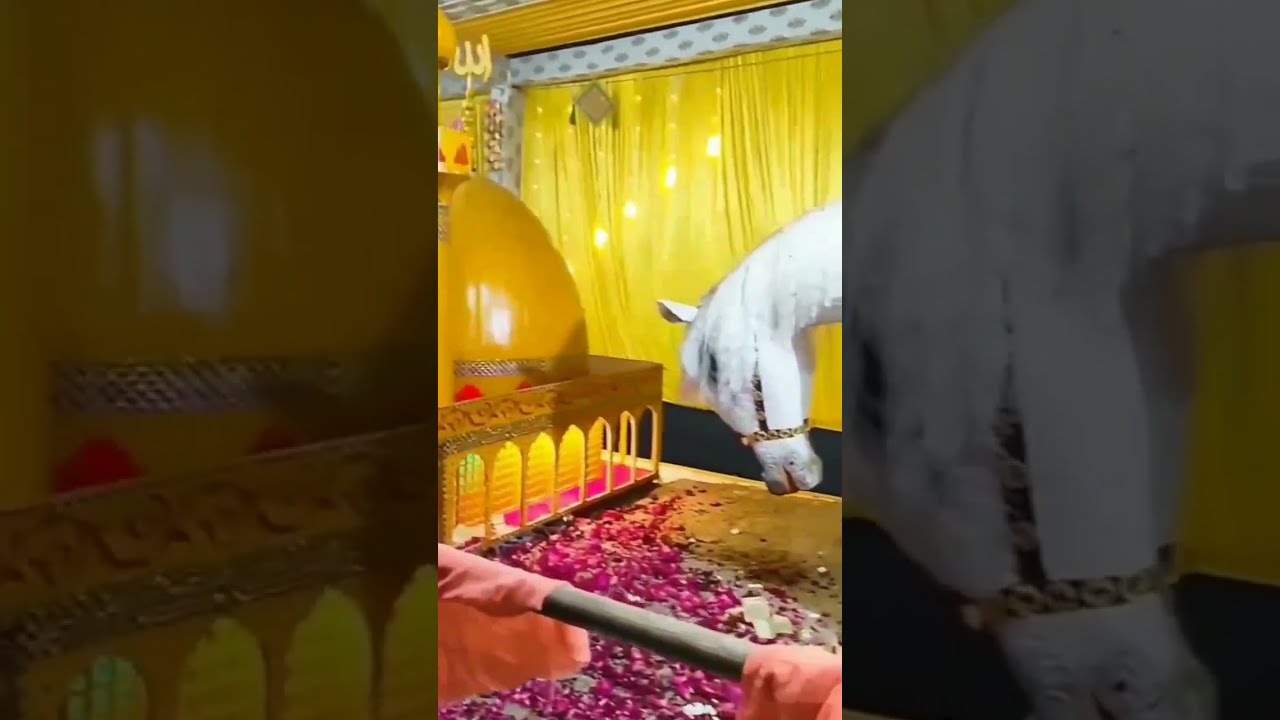 Looti Karbala mein nabi ki nishani  karbala  hassan  youtubeshorts  shortsvideo