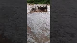 Chuva na Serra do Arapuá-Carnaubeira da Penha