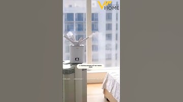 HƯỚNG DẪN LOẠI BỎ NHANH FORMALDEHYDE TRONG NHÀ TRƯỚC KHI VÀO Ở