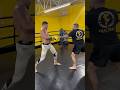 Why Alex Pereira Ko's Everyone
