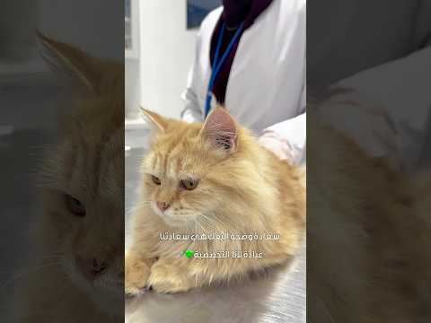 عندك حيوان أليف يحتاج عناية بيطرية عيادة لانا البيطرية تختص بعناية وسعادة صديقك