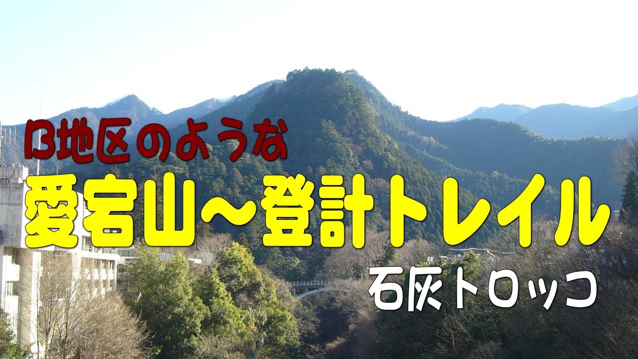 ビーチクのような愛宕山～登計トレイル+トロッコ＠東京都奥多摩町