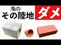 【亀飼育】亀に使ってはいけない陸地を水質から解説！入れちゃダメな理由も分かります！