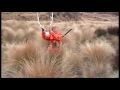 Sika Deer Hunting - www.ohineratahunting.co.nz